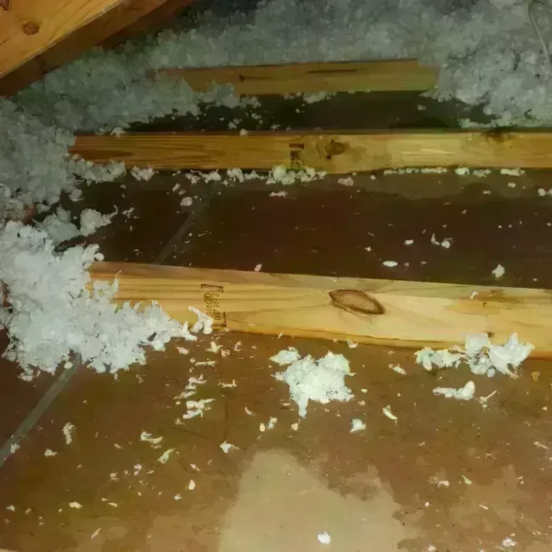 Attic Water Damage in Noel, MO