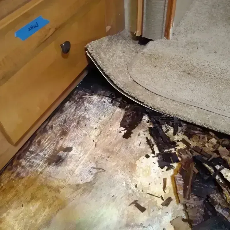 Wood Floor Water Damage in Noel, MO